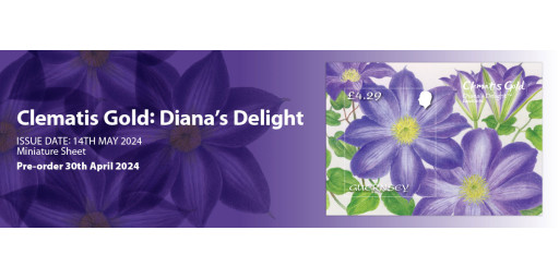 Clematis Gold: Diana's Delight
